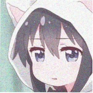 蒂姆·罗斯